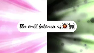 Miraculous The wall between us Nightcore🐞🐈‍⬛