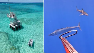 Finding a LOG FULL of FISH in the middle of the OCEAN! (Sailing Popao Ep.36)