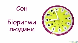 Сон. Біоритми