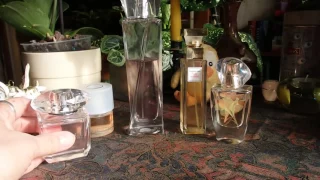10 моих любимых парфюмов