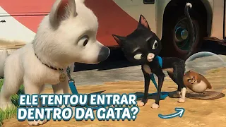 ELE OFERECEU O RAB0 PARA SER CHEIRADO