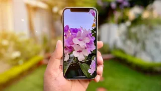 iPhone 12 mini Detailed Camera Review in 2022