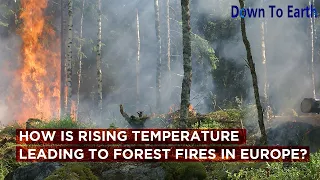 How are rising temperatures leading to forest fires in Europe?