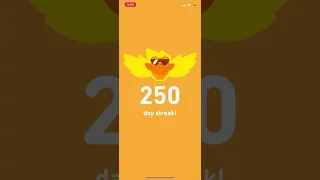 250 Day Streak On Duolingo