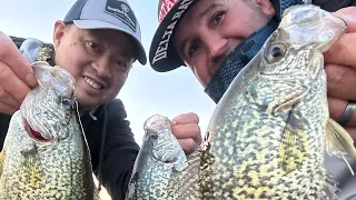 Delta winter crappie action & tips!