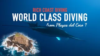 Best Diving in Costa Rica | 4K