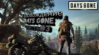 Прохождение Days Gone,Жизнь после,стрим  Пс4 ,PS4 часть #3