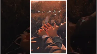 Toon Bhali Dilruba Naaz Ker | Slow & Reverb | Zamin Ali | Sindhi Song | Aesthetic Video