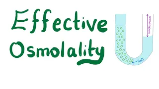 Effective Osmolality