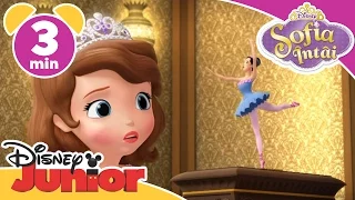 Sofia Intai - Sofia îl oprește pe Gargoyles. Doar la Disney Junior!