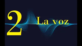 La voz | Teoría del conocimiento sonoro (2/13)