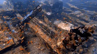 House Reef Wreck, Filitheyo