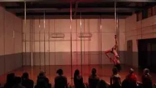 Di Pole Plus Term 4 Performance