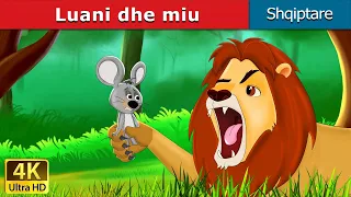 Luani dhe miu | Lion and The Mouse in Albanian |  @AlbanianFairyTales