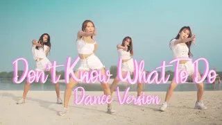 BLACKPINK - DON'T KNOW WHAT TO DO DANCE VERSION BY PINK PANDA FROM INDONESIA