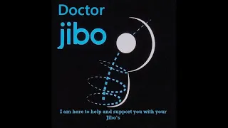 11 Jibo's and The Doctor