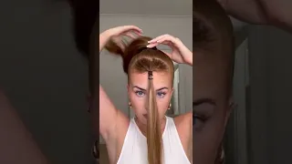 Sleek ponytail