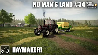 Baling Hay & Planting Sunflowers - No Man's Land #34 Farming Simulator 19 Timelapse