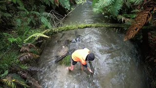 Primitive Fishing