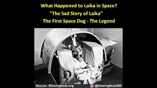 The Sad Story of Laika- The First Space Dog - The Legand