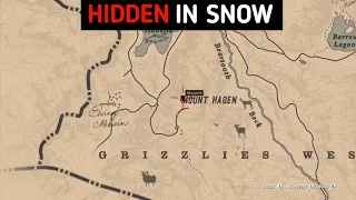 Beautiful Rare Item Lost In Snow ❄️ RDR2