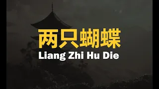 两只蝴蝶 Liang Zhi Hu Die (KARAOKE) Cover by EDY LIU
