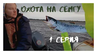 #рыбалка #сёмга #salmon Охота на сёмгу на реке Мезень (Архангельская область) - 1 серия