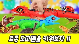 Let's raise robot lizardㅣcocos animation, animals names for kidsㅣCoCosToy