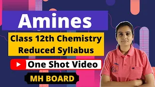 Amines Class 12th Chemistry One-Shot Video