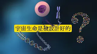 早期宇宙的藍圖中，就寫好了生命的劇本嗎？【重置版】