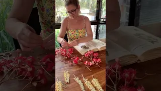 Pressing native Australian eucalyptus inside books. #howtopressflowers #pressedflowers #eucalyptus