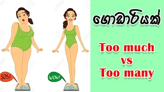 Too much vs Too many | how to use many and a lot of in sinhala