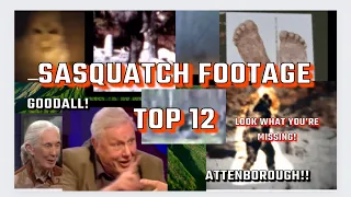 Compilation of some of the BEST Sasquatch videos ever! #bigfoot #sasquatch #cryptid #yeti