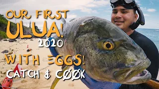 ULUA (Omilu/Bluefin Trevally) w/EGGS! SASHIMI & SEARED! - Catch and Cook - Spearfishing Hawaii -