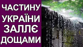 Погода в Україні на завтра: частину України заллє дощами | Погода на 30 вересня