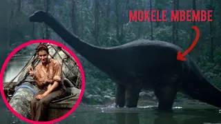 Real dinosaur encounters from the deep jungles of congo  || MOKELE - MBEMBE 🦕||