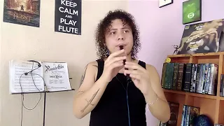 Mägo de Oz - Fiesta pagana. Cover en Tin Whistle.