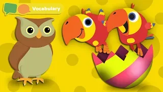 Learning First Words for Babies w Larry The Bird - Animal Sounds | Baby Sensory | First University