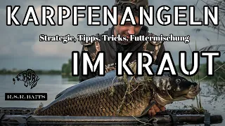 Karpfenangeln im Kraut | Tipps & Tricks für krautige Gewässer mit RSR-BAITS