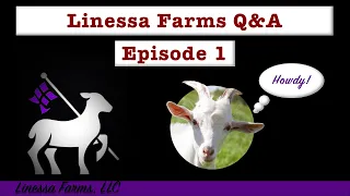 Linessa Farms Q&A Episode 1:  Feeding, Breeding, and Medicating Sheep and Goats!  Plus More!