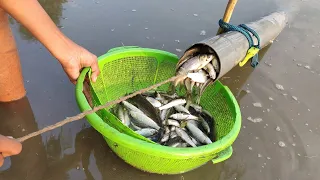 Unbelievable Fishing-Unique Fish Trapping System-Pvc Pipe Fishing