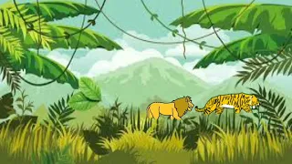 tiger vs lion animation