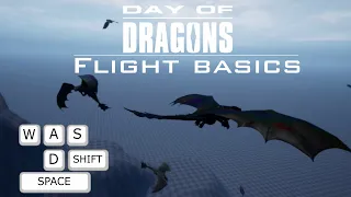 Day of Dragons, Basic Flight Controls