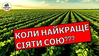 Коли сіяти сою? Якого числа сіяти сою? В якому місяці сіяти сою? Когда сеют сою?