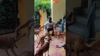 I Love Street Dogs❤️ #shorts #ytshorts #doglovers #dog #trendingshorts #viral #lovestatus