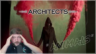 [FIRST TIME LISTENING TO] Architects - "Animals" REACTION