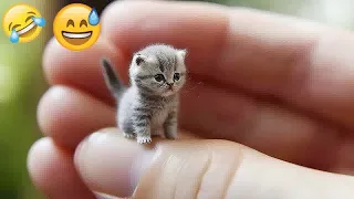 ❤️🤣 Funny Dog And Cat Videos 😆😻 Funny And Cute Animal Videos 2024 #8