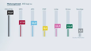 INSA-UMFRAGE: AfD legt wieder zu – nur ein Prozentpunkt hinter SPD