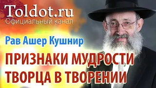 Рав Ашер Кушнир. Суть познания. Обязанности сердец 17