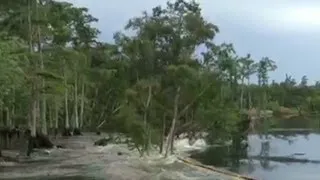 Year-old sinkhole gobbles up trees